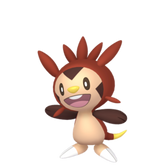 Pokestar - Shiny Chespin in Legends: Z-A